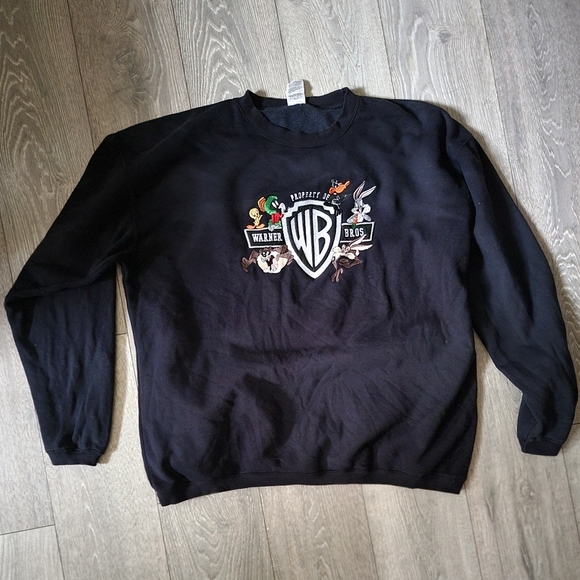Warner Bros. Other - Vintage Warner Brothers Embroidered Sweatshirt